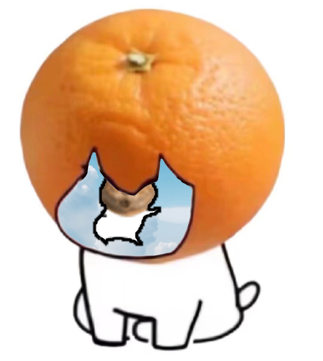 meme orange_head